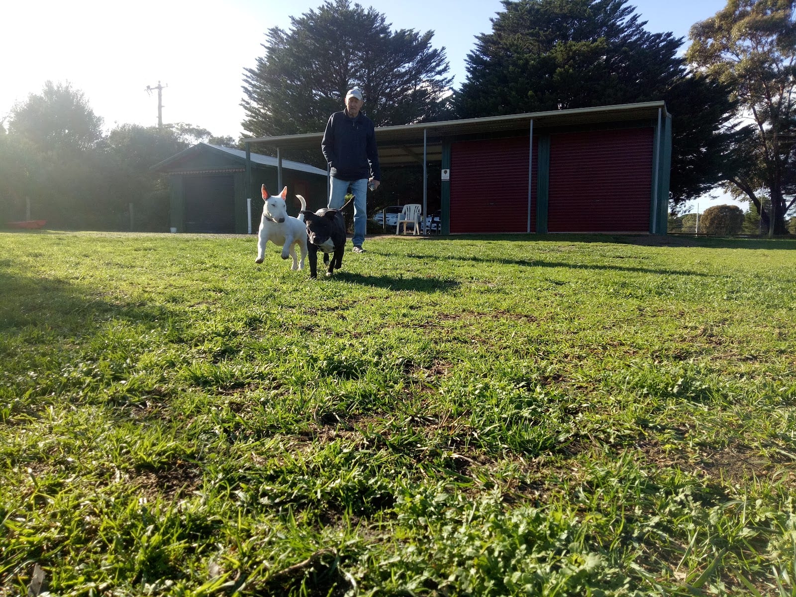 Leash free area (fenced), photo 3