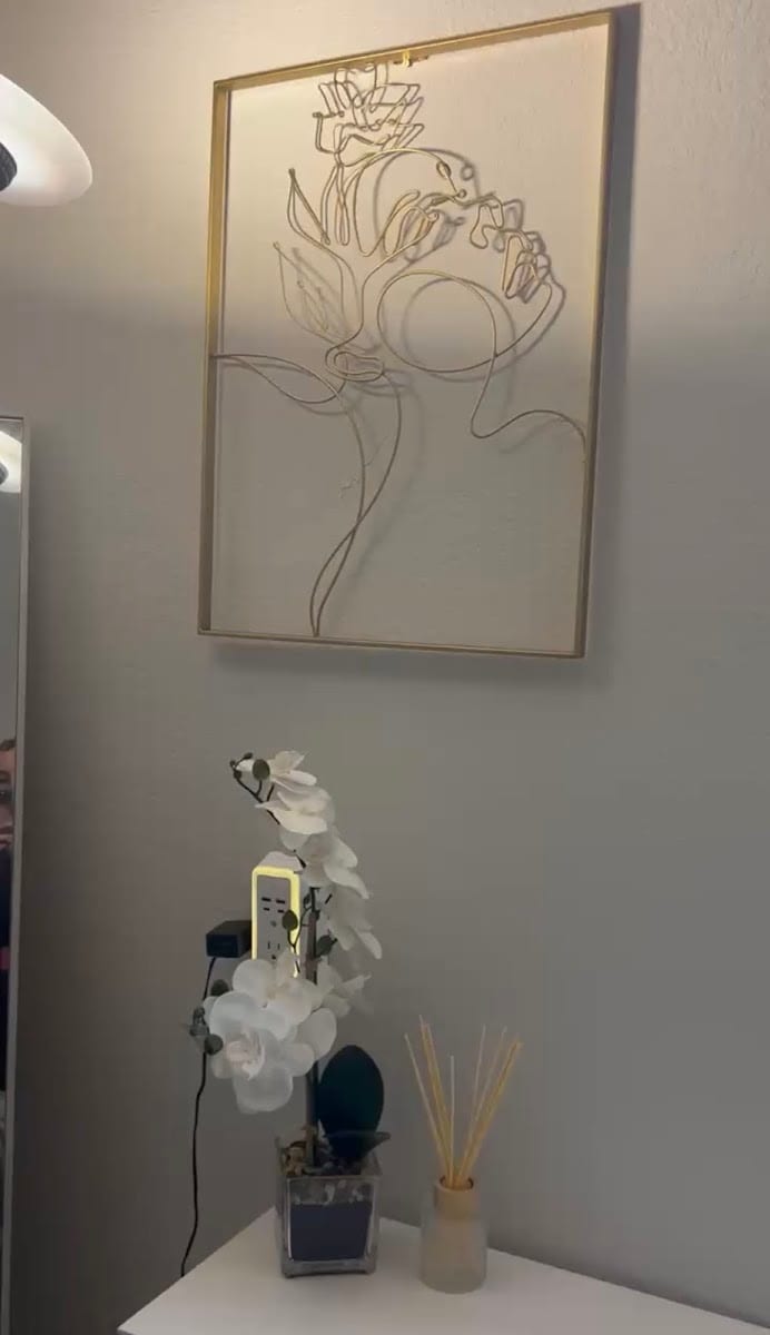 DermaVeda Aesthetics & Wellness (Port Charlotte), photo 3