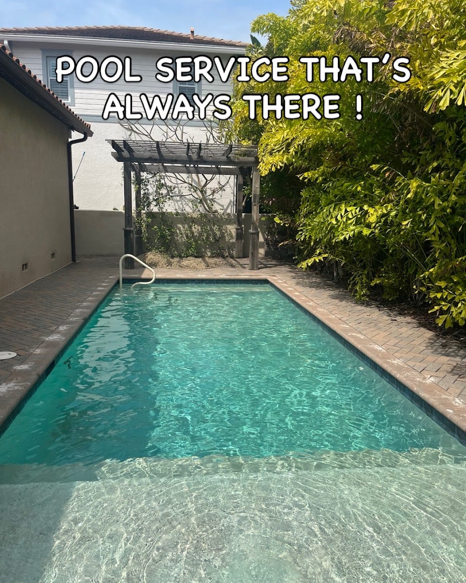 Pool Sharks of Tampa Bay, photo 4