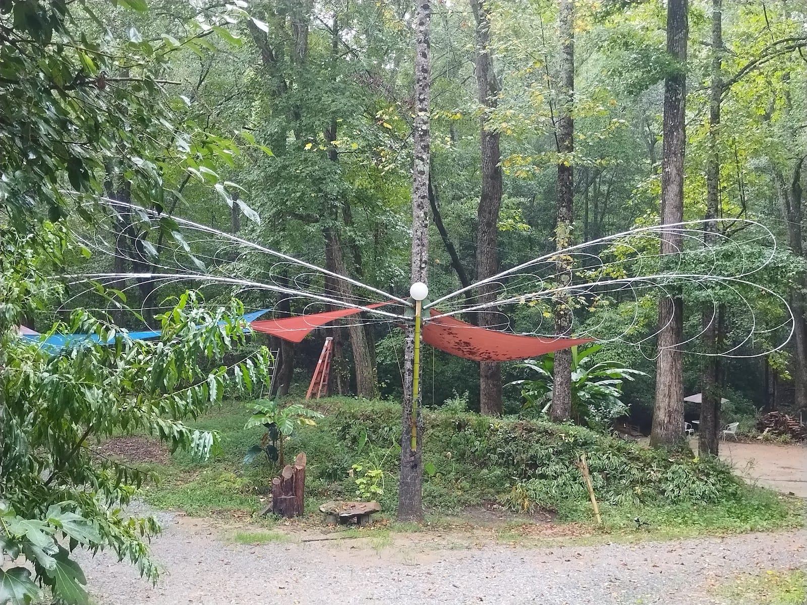 Three Creeks Camp And Nature Preserve, photo 3