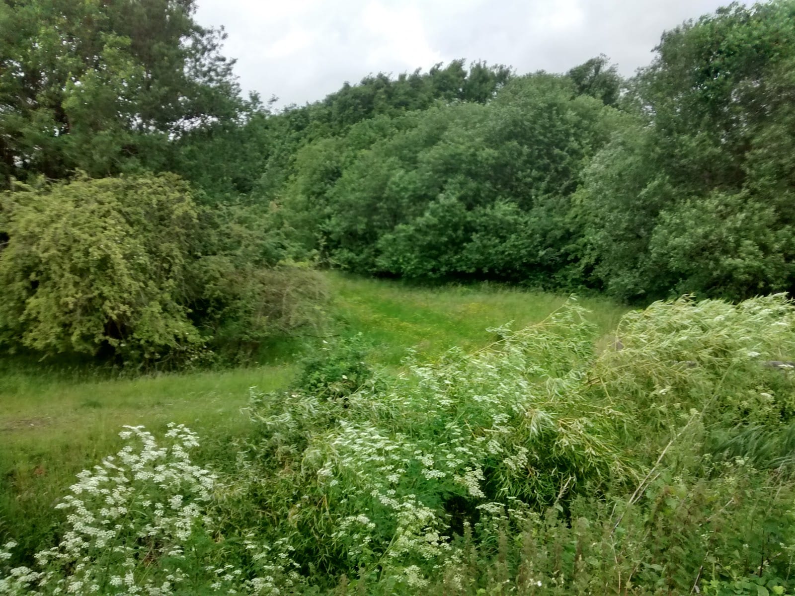 Woodlands Park, photo 3