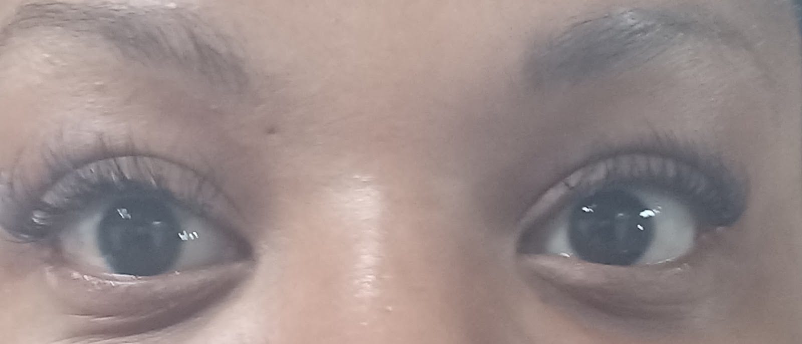 Eye See You Lashes & Brows