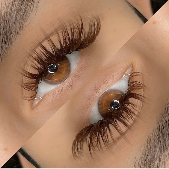 Élan Lash & Brows, photo 4