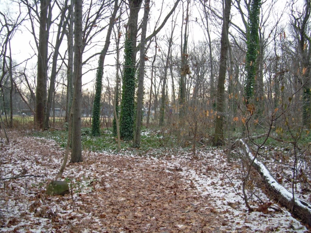 Constitution Grove Park, photo 2