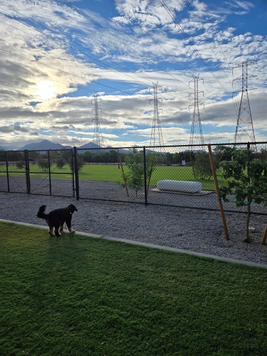 Thompson Peak Park Dog Park