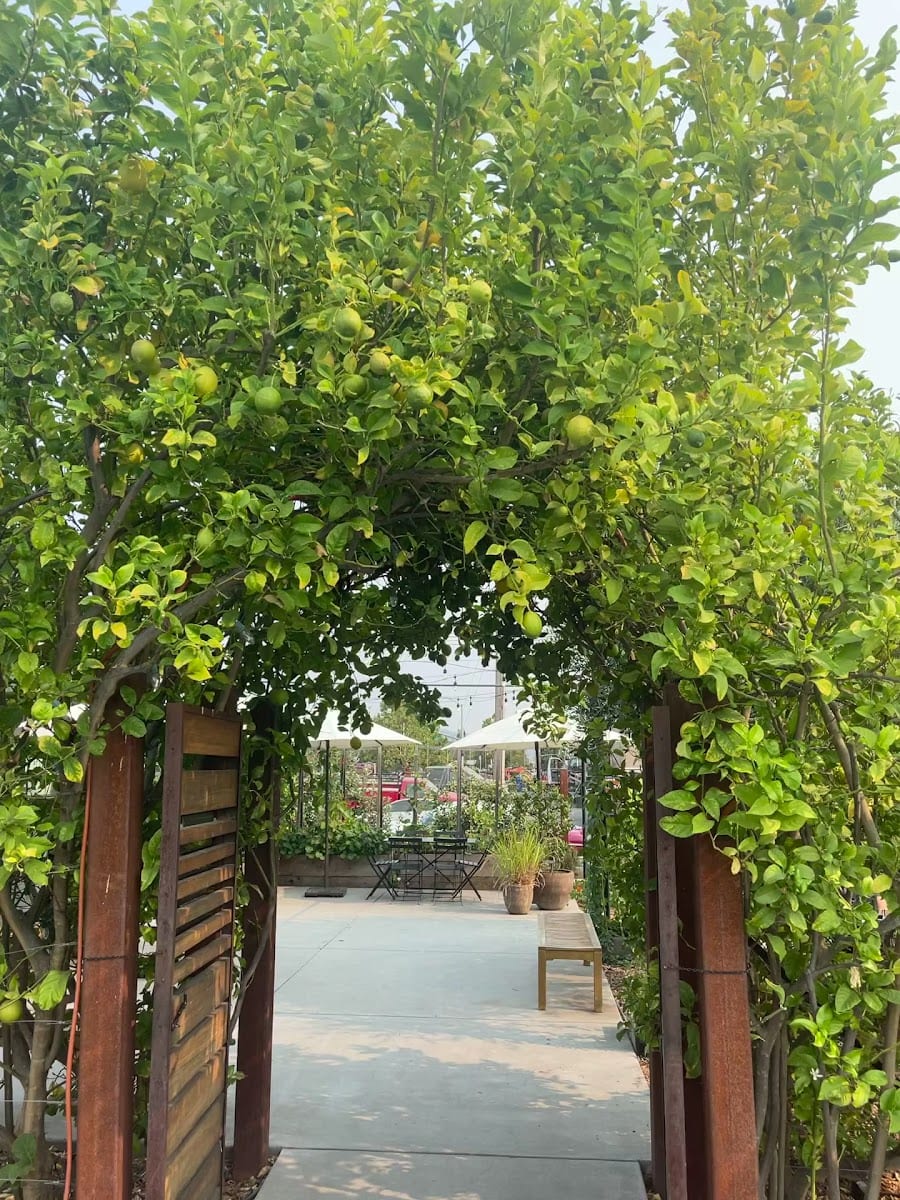 St Clair Brown Winery & Brewery, photo 3