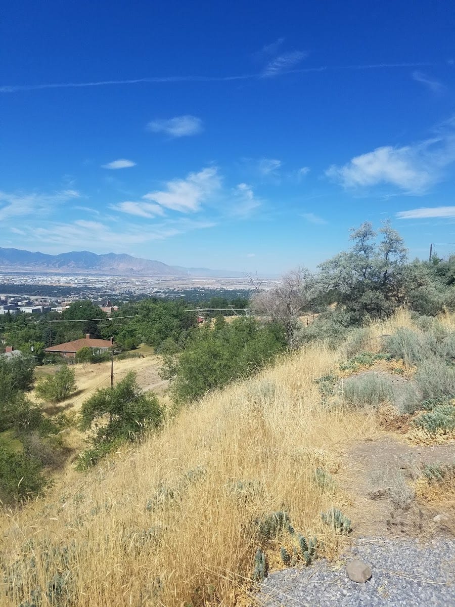 Kay Rees Park, photo 4