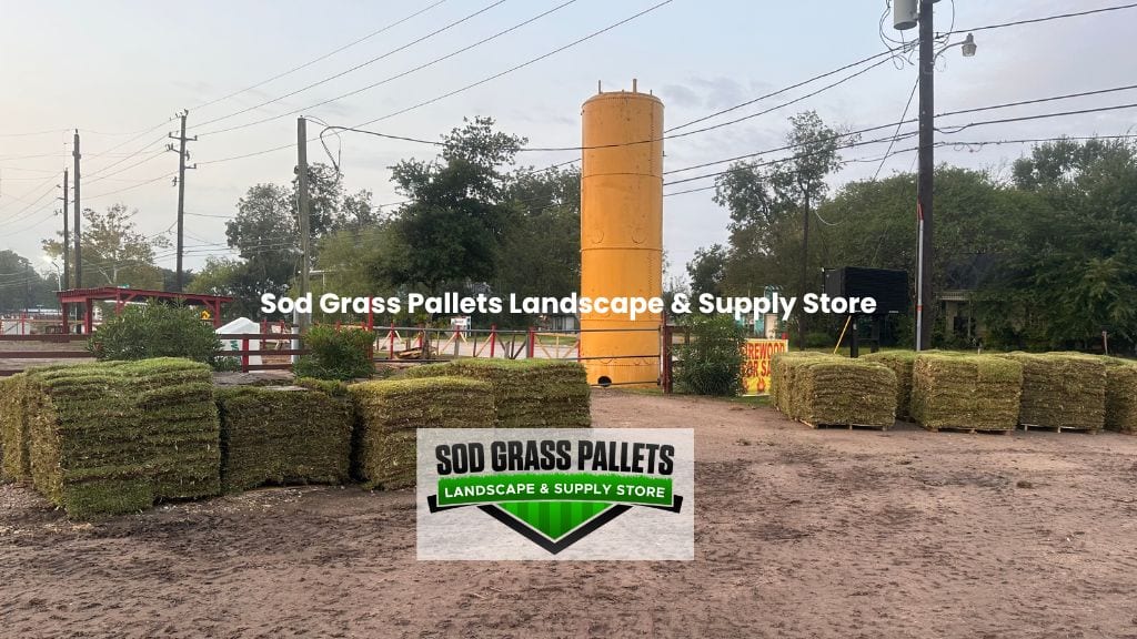 Sod Grass Pallets Landscape & Supply Store, photo 2