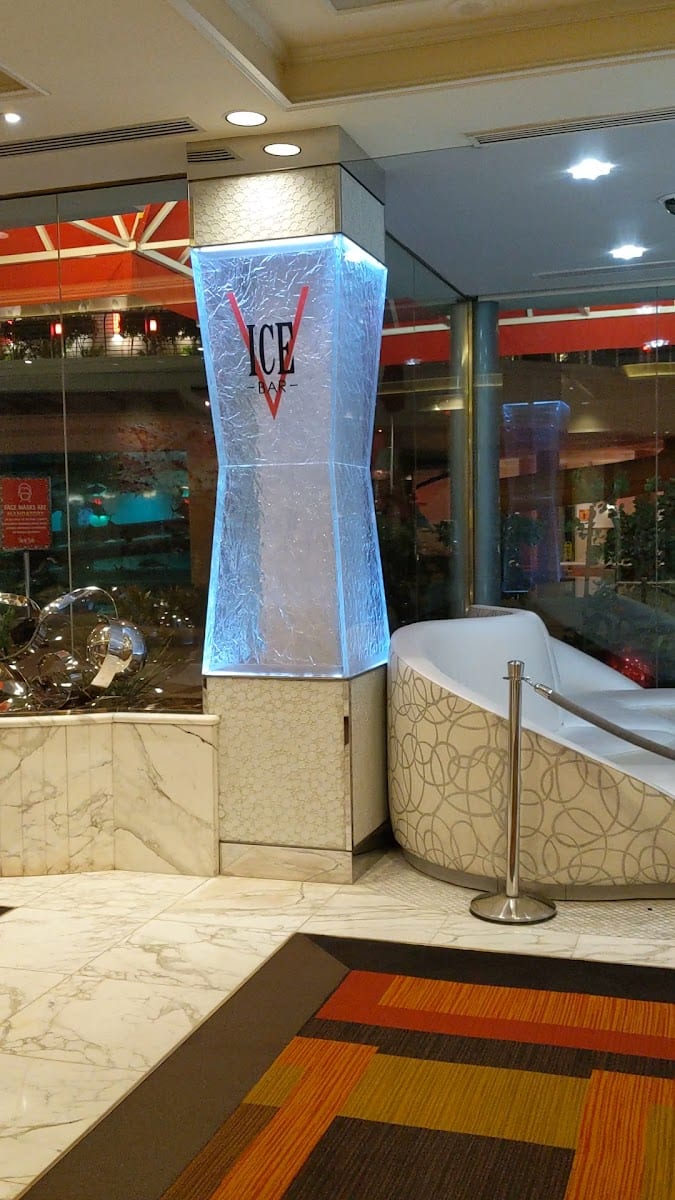 Ice Bar, photo 2
