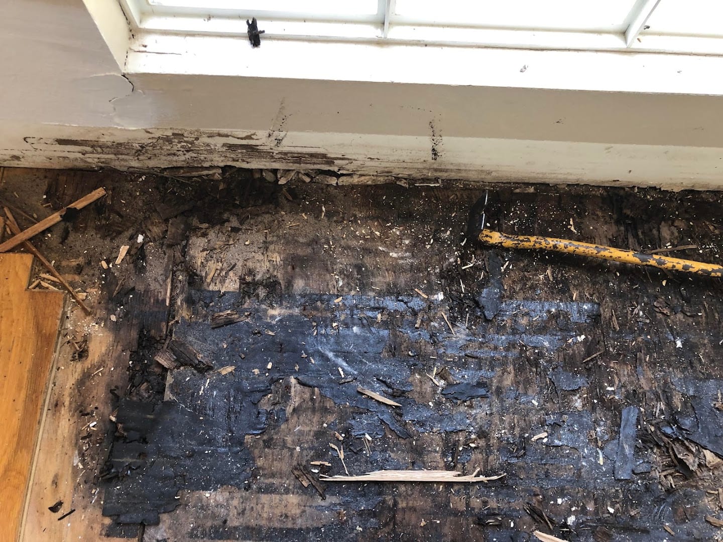 Turner Pest Control, photo 3