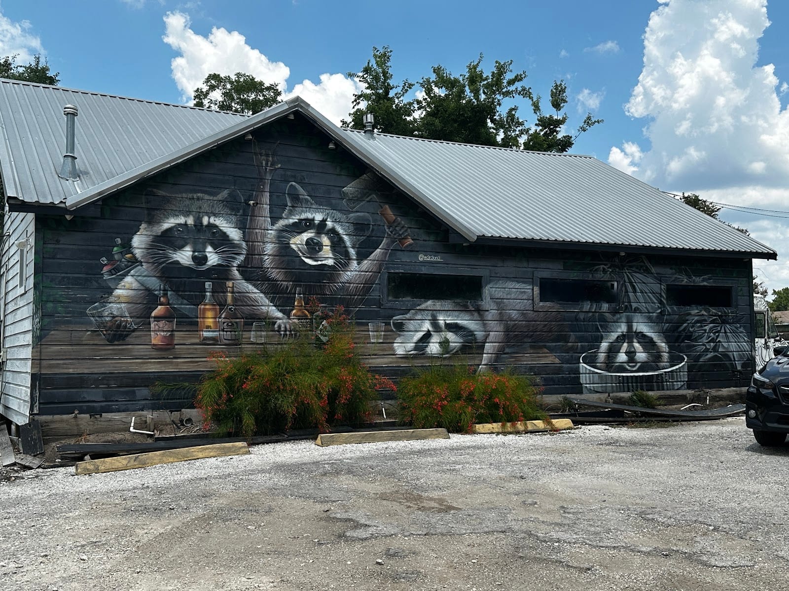 Trash Panda Drinking Club, photo 4
