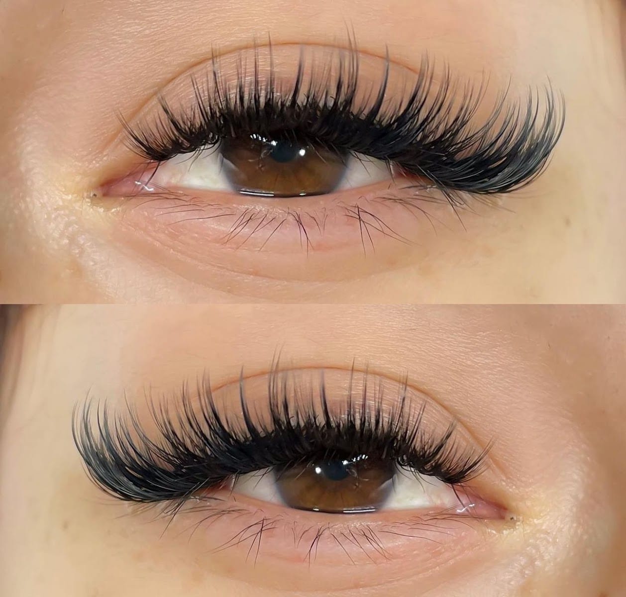 Lash S