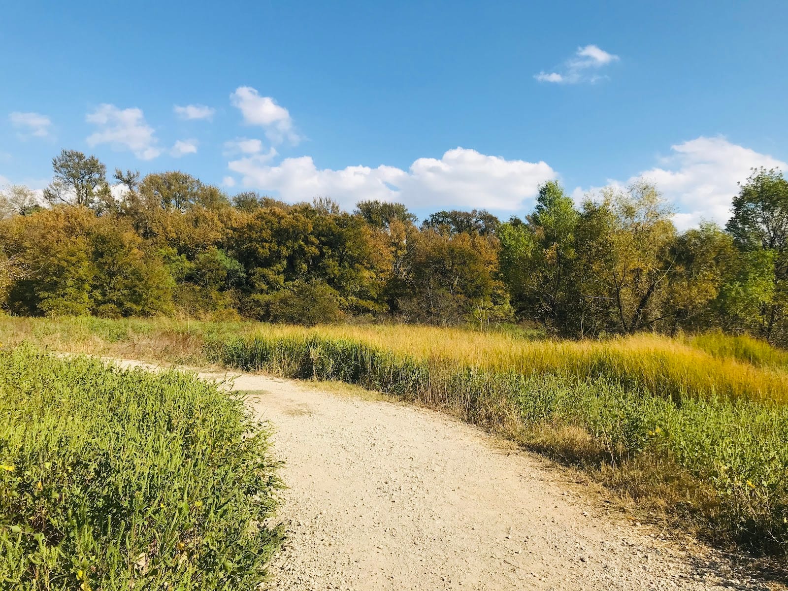 Cottonwood Trail, photo 3