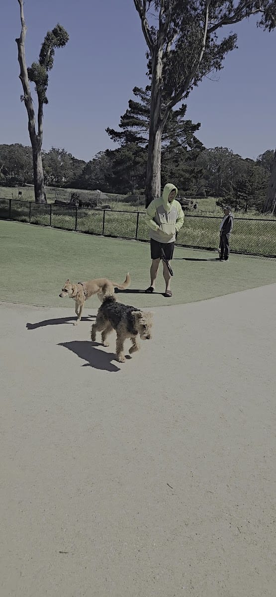 Eureka Valley Dog Play Area, photo 2