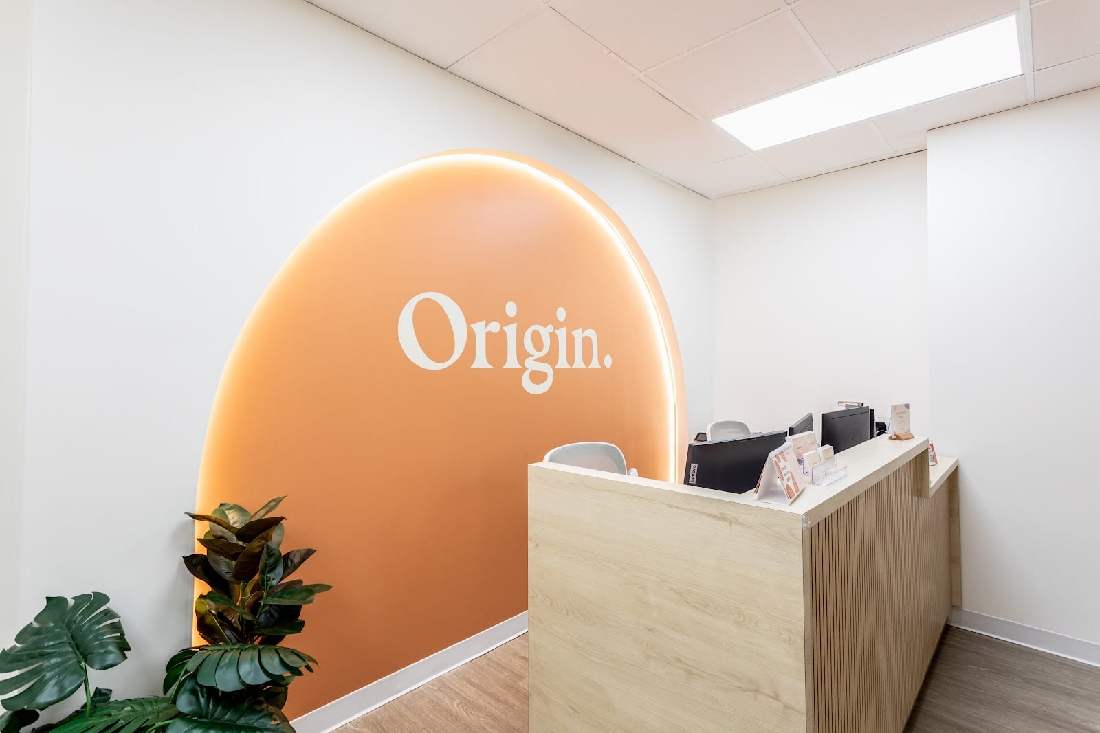 Origin Physical Therapy, photo 4