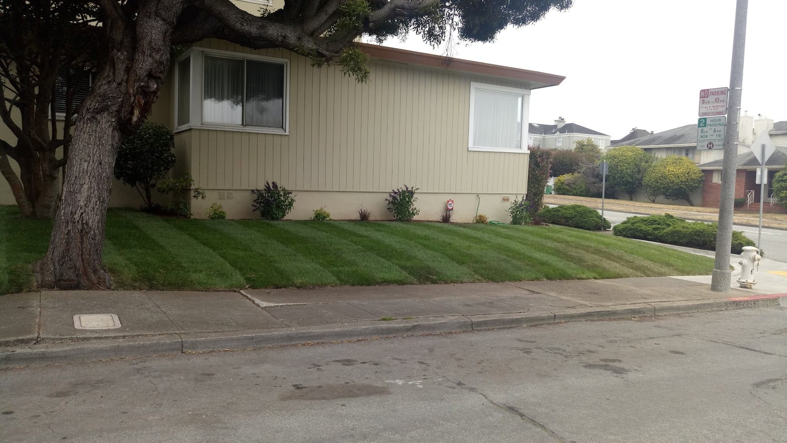 Brother's gardening LLC, photo 4