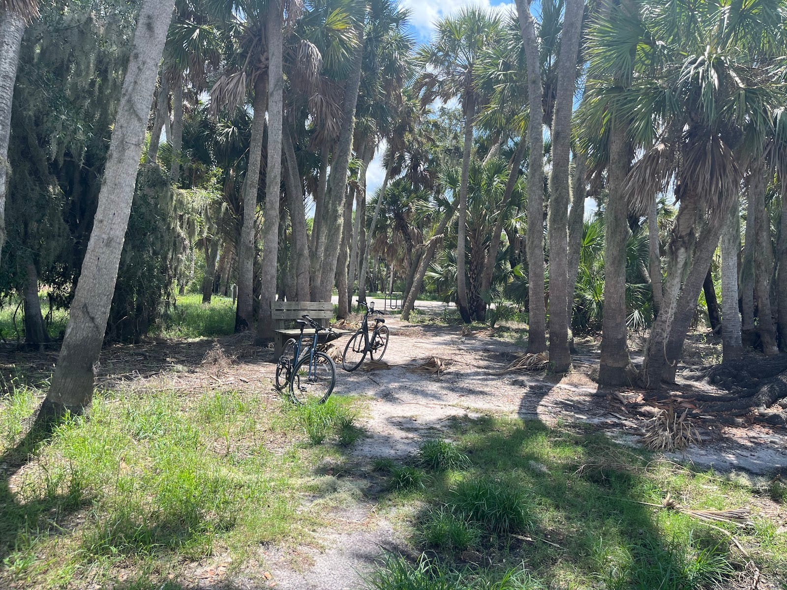 Myakka River State Park FPL Gate, photo 3