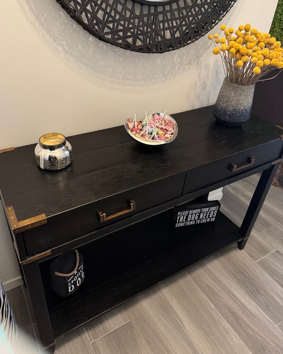 Furniture Medic by Canamera Projects