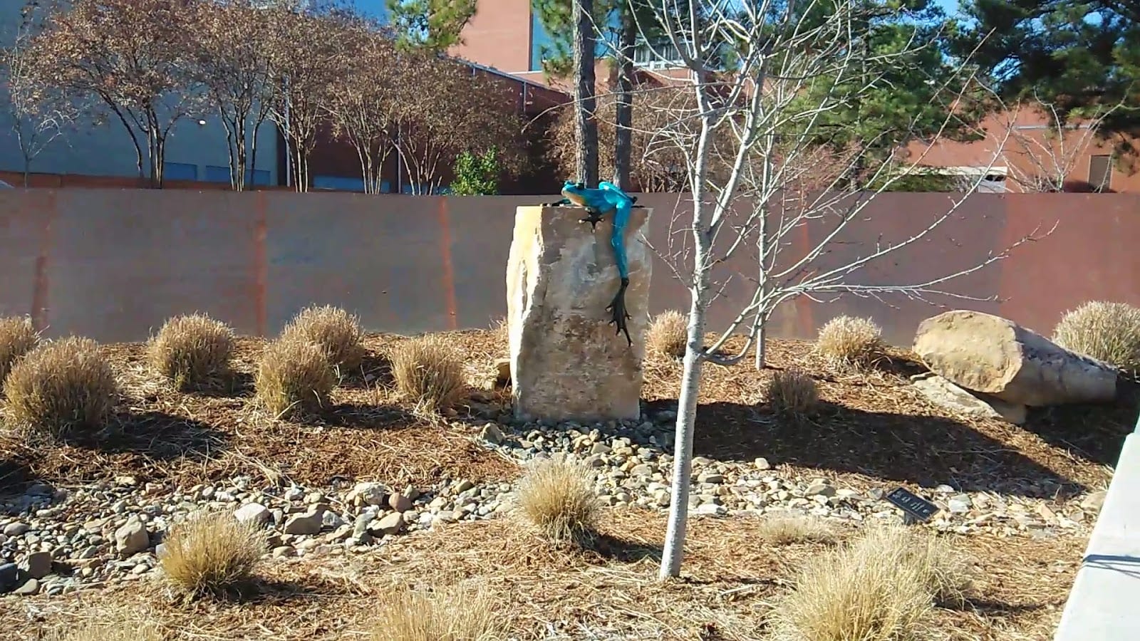 Vogel Schwartz Sculpture Garden, photo 2