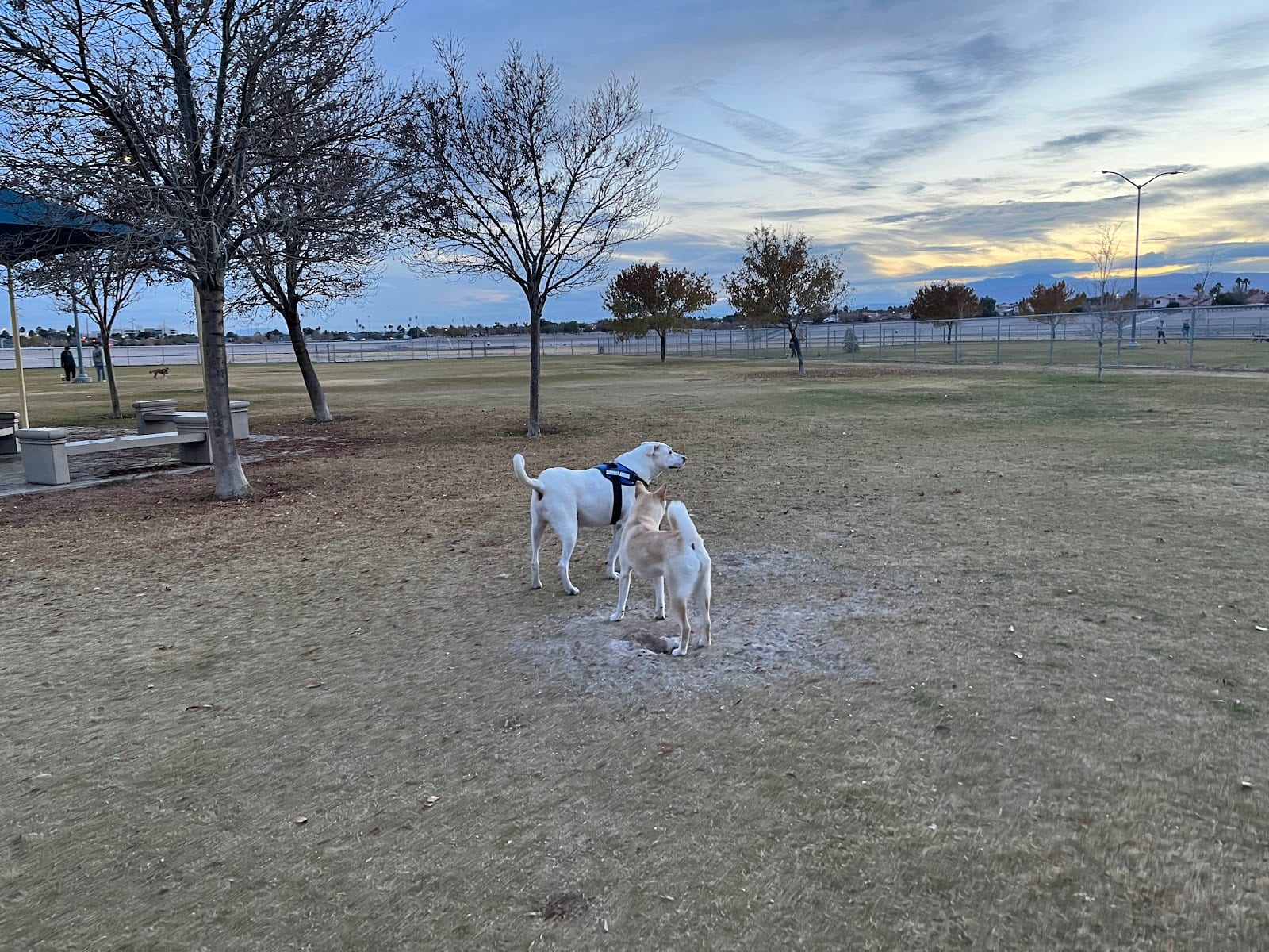 Barkin Basin Park, photo 3
