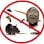 Pest control Florida 24