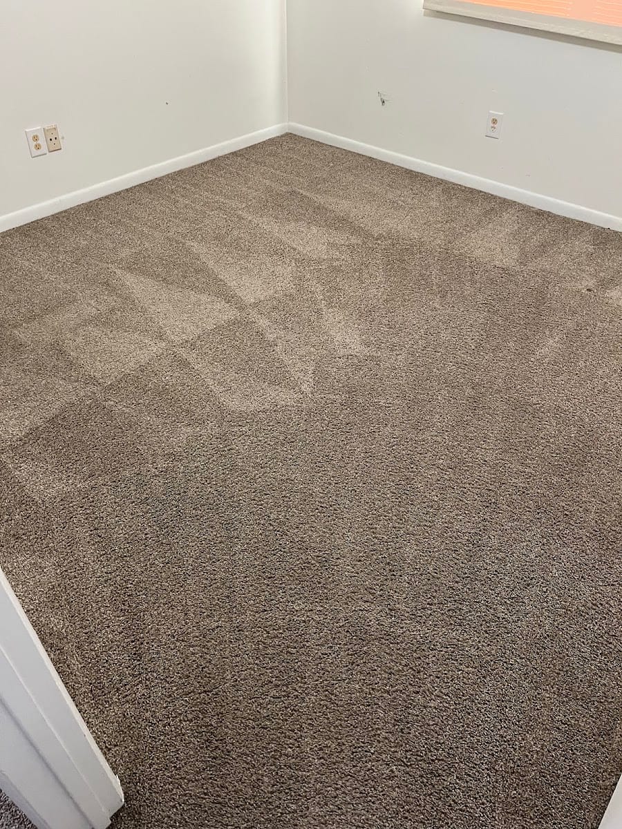 Alfa Carpet Cleaning, photo 4