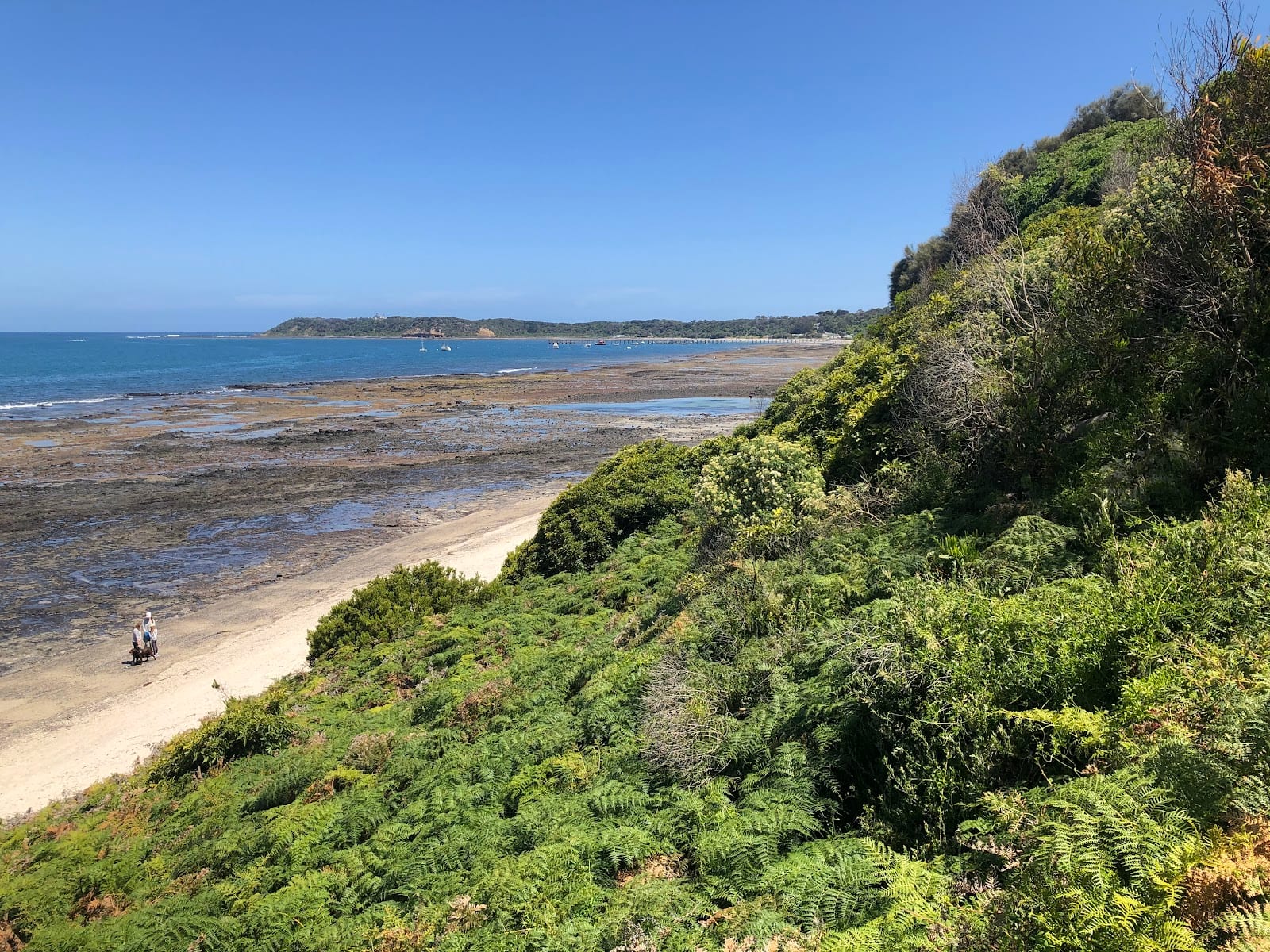 Flinders Dog Beach