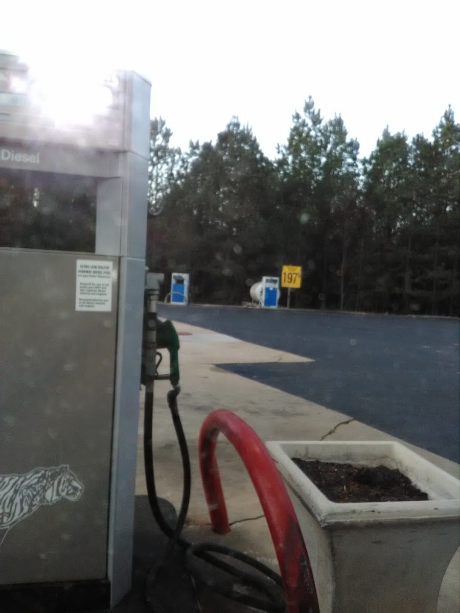 bp, photo 3