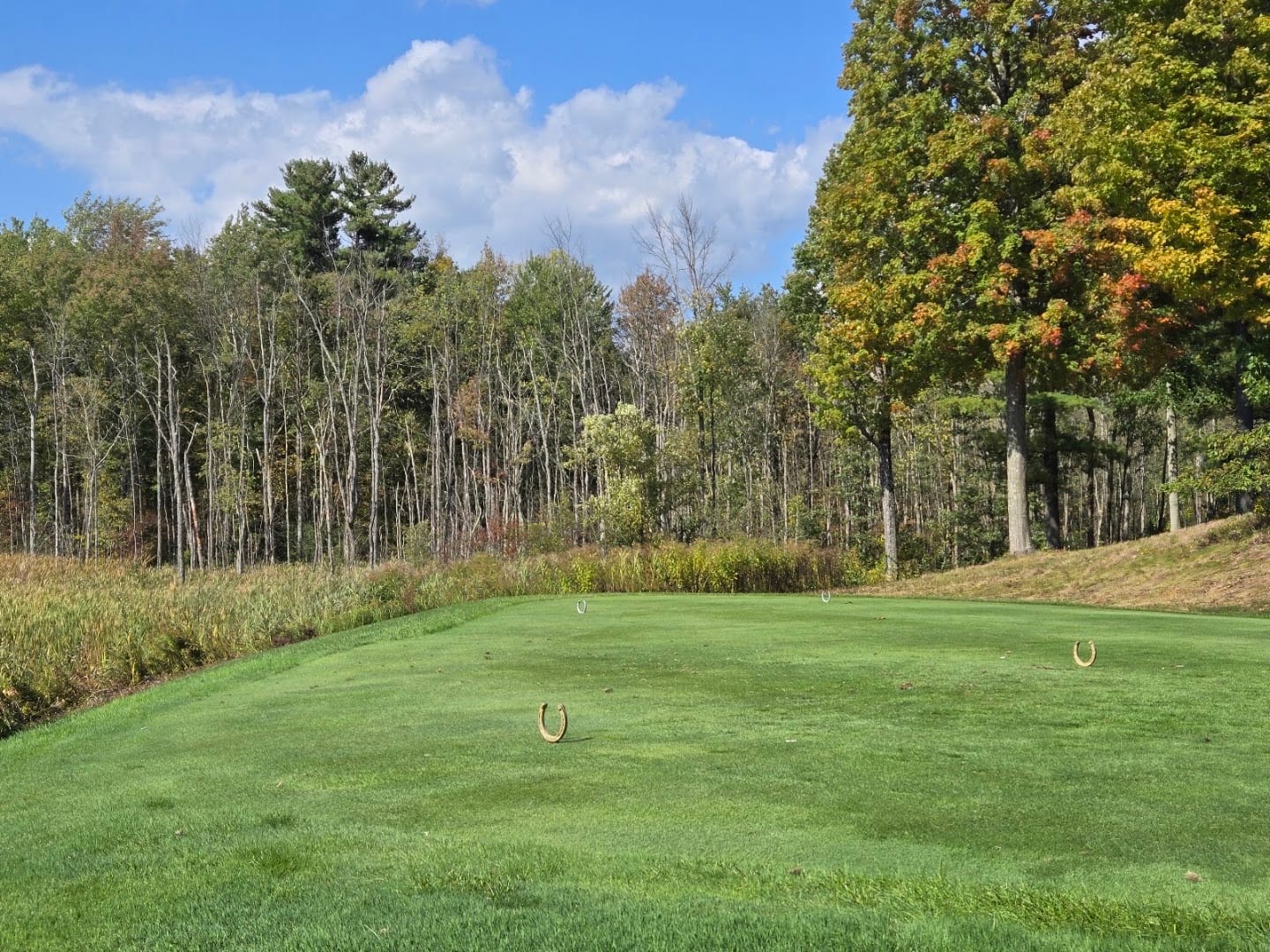 Golf Course, photo 4