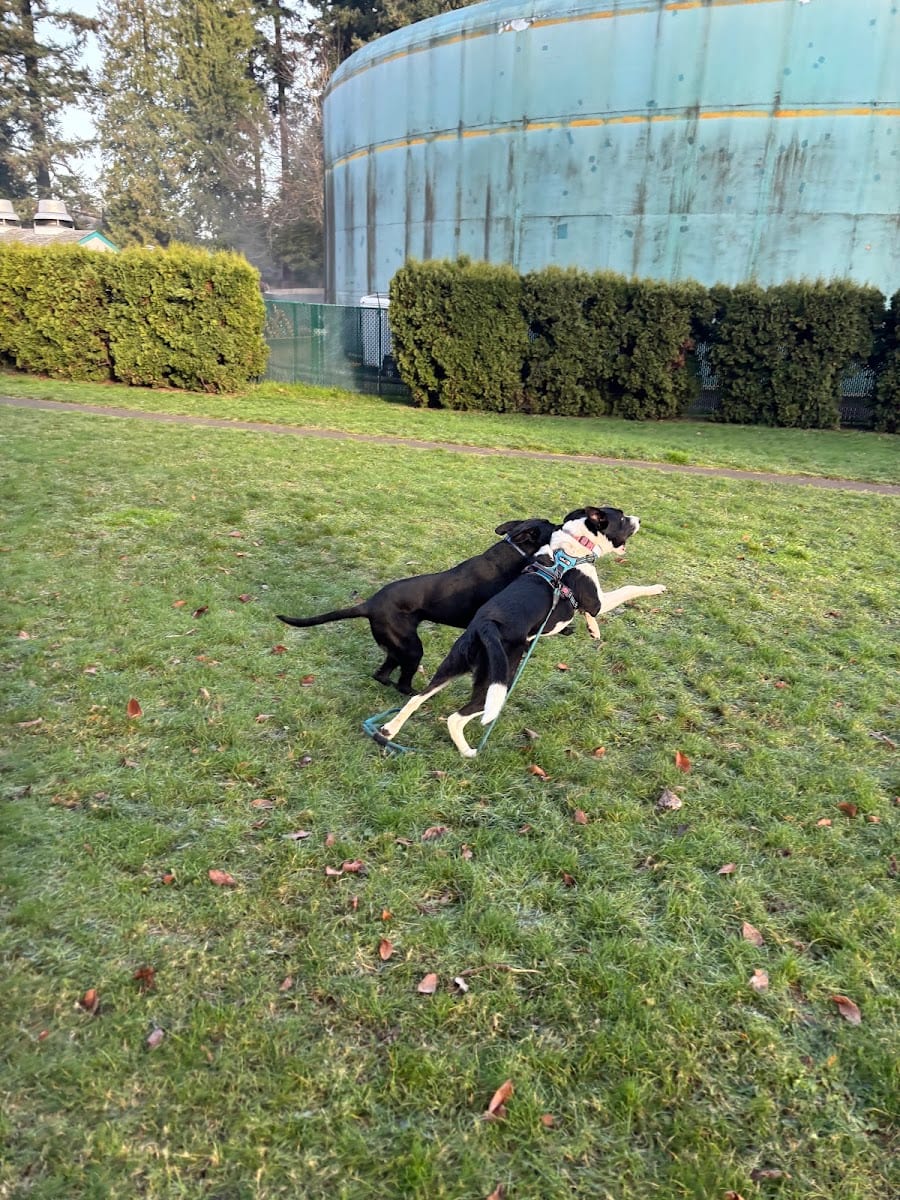 Stanley Park, photo 2