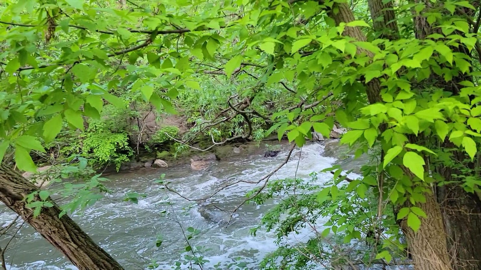 Upper Don Recreation Trail, Finch Ave. E. North Side Entrance, photo 2