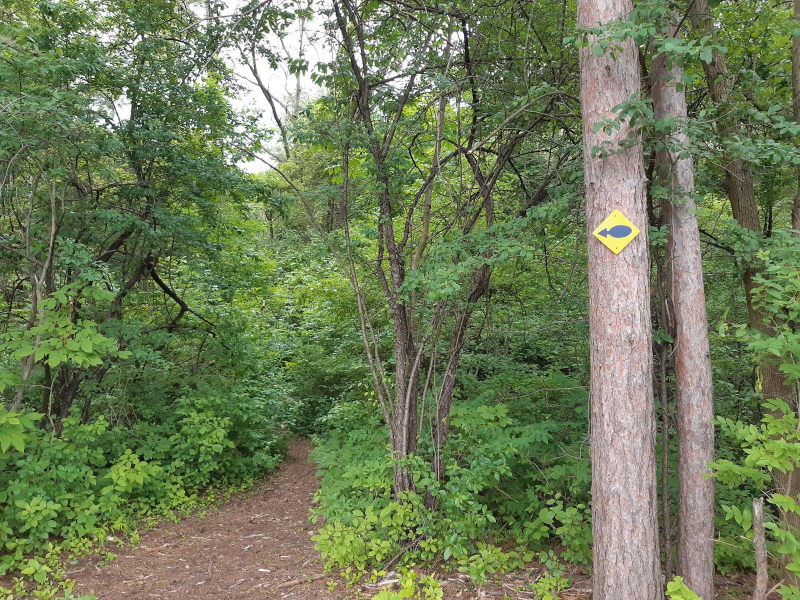 Hearthstone Valley Greenbelt