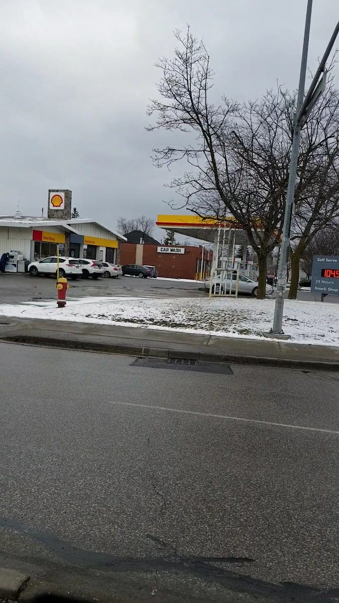Shell, photo 3