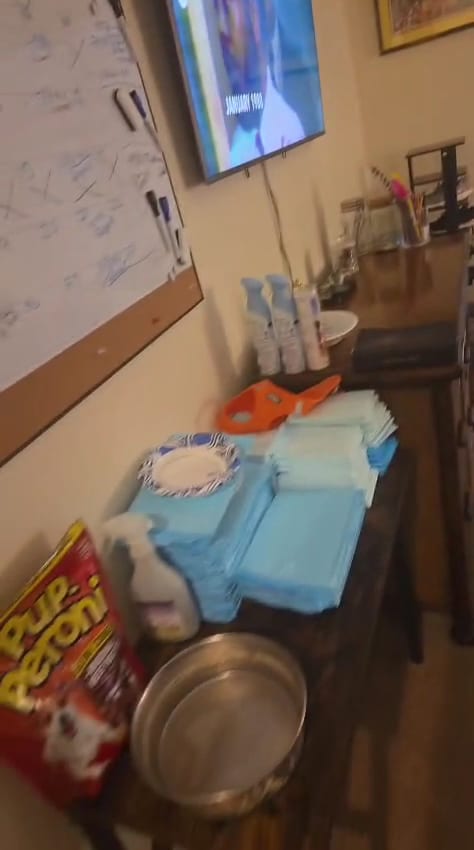 The Cleaning Lab - Summerlin, photo 2