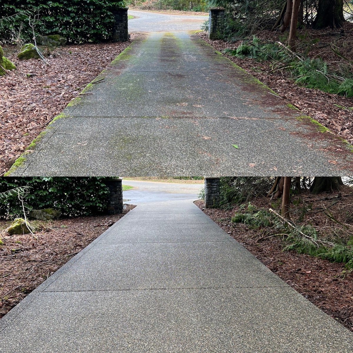 Bayside Exterior Cleaning, photo 3
