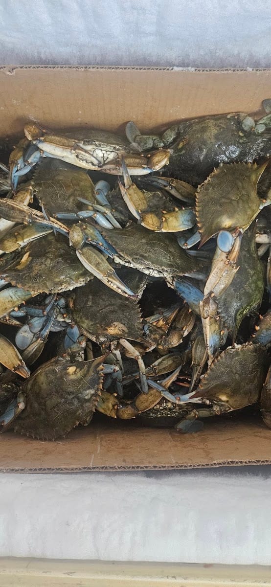 Concord Seafood and Grocery, photo 4