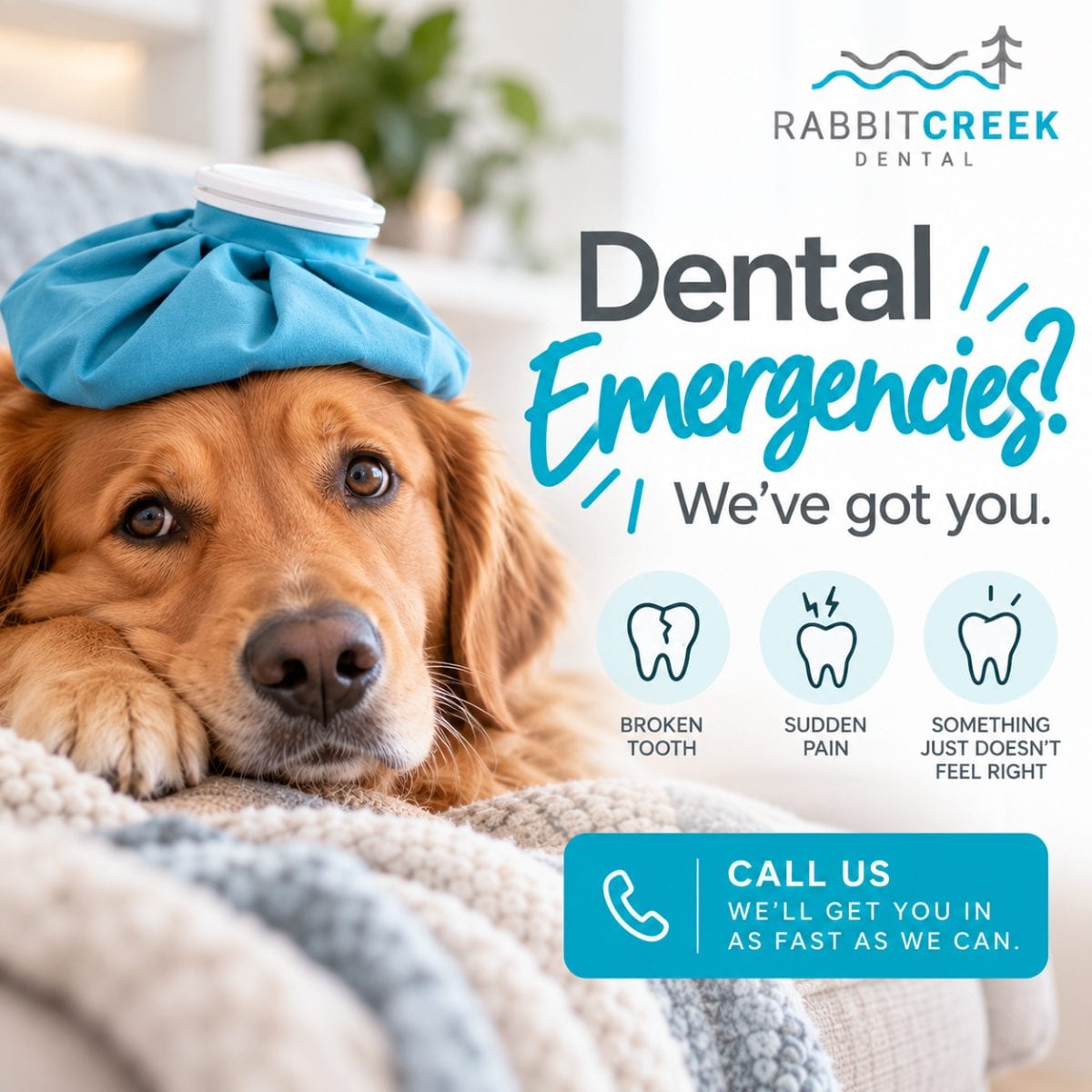 Rabbit Creek Dental, photo 4