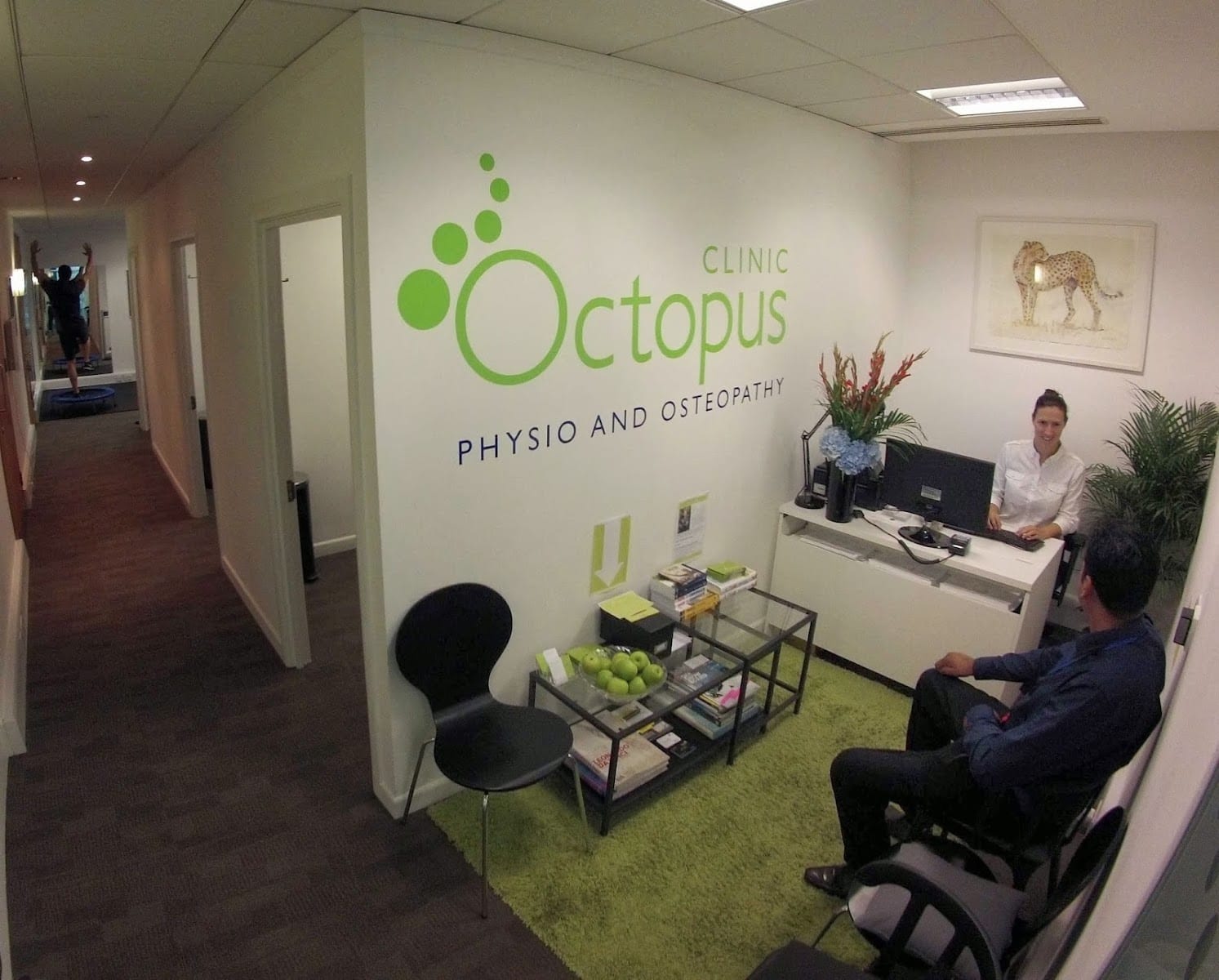 Octopus Clinic, photo 3