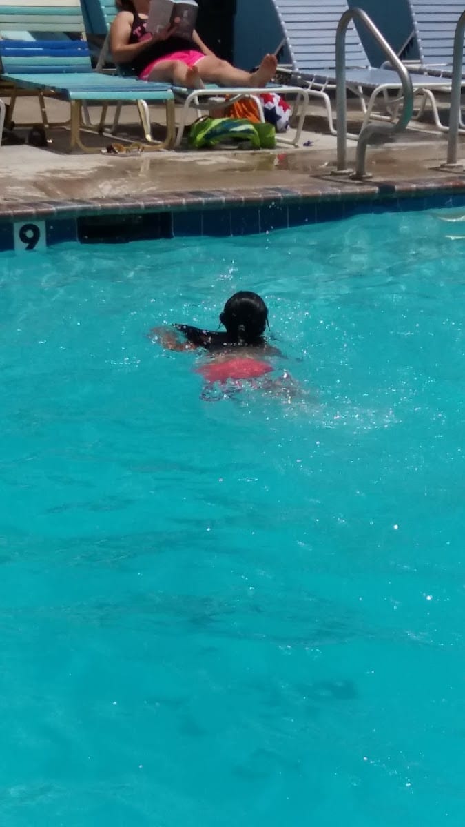 Seahorse of Lubbock, photo 2
