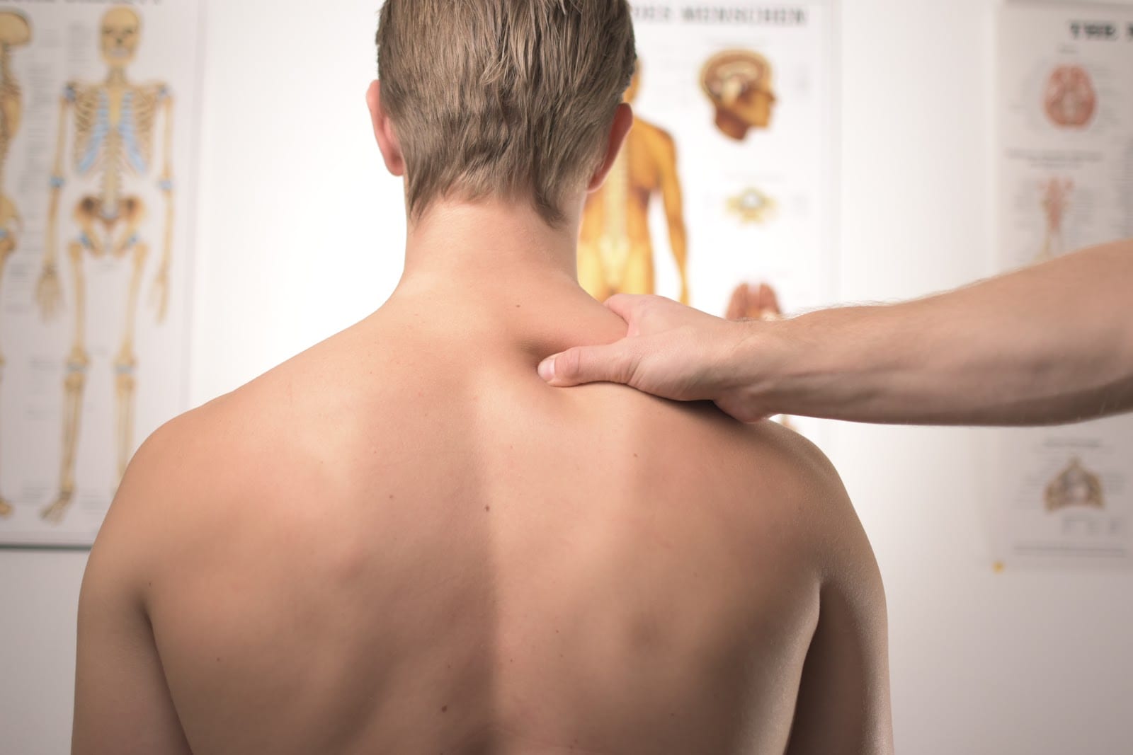 Neil Logan Chiropractic At Southern Utah Wellness Group, photo 2