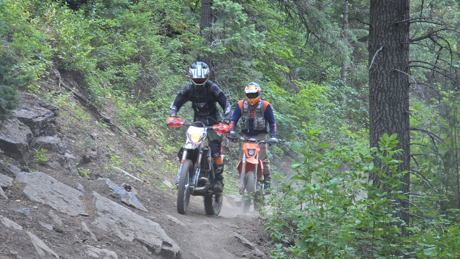 Richards Hollow Trailhead, photo 3