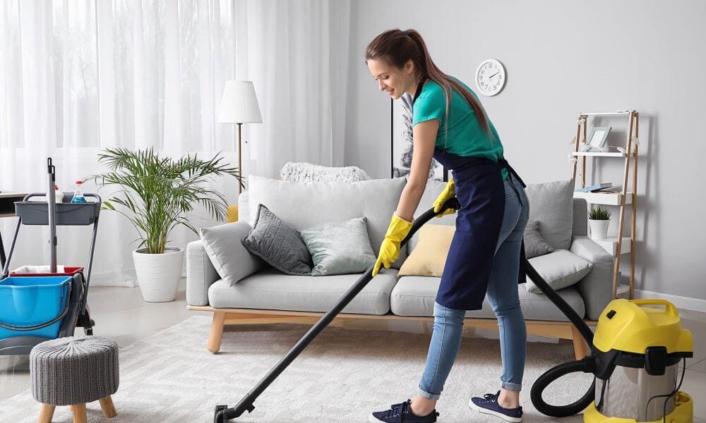 Pro Housekeepers
