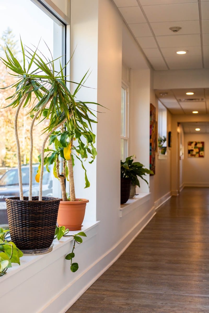 Mt Hope Chiropractic and Wellness, photo 3
