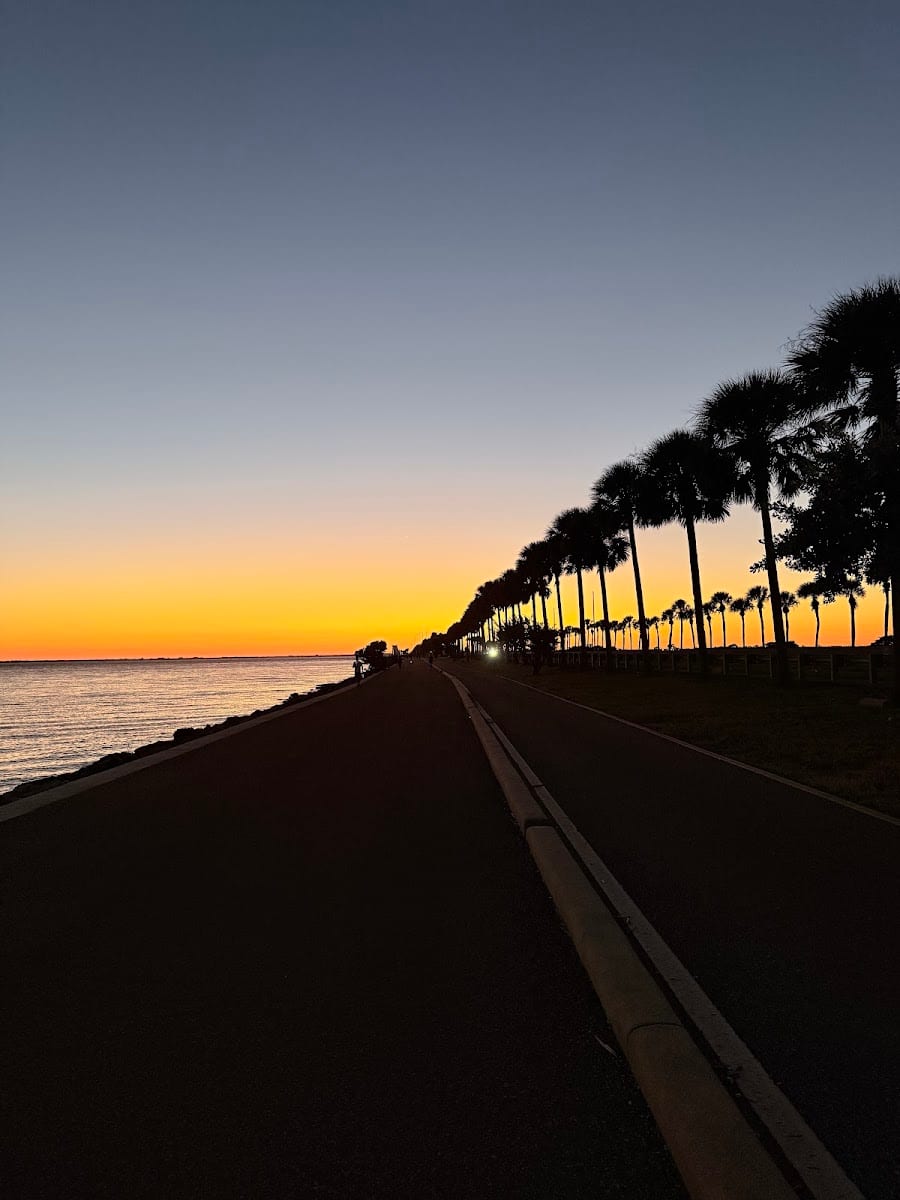 Courtney Campbell Fishing and Walking Trail