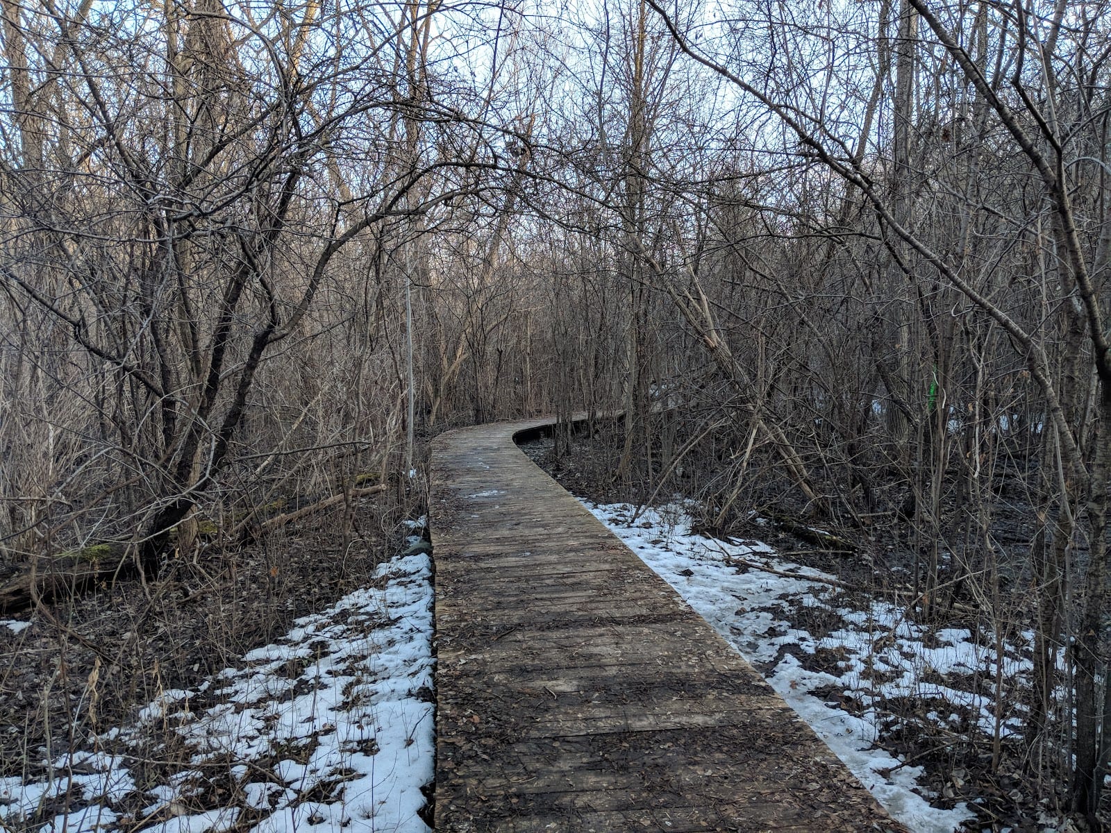 West Don Parkland