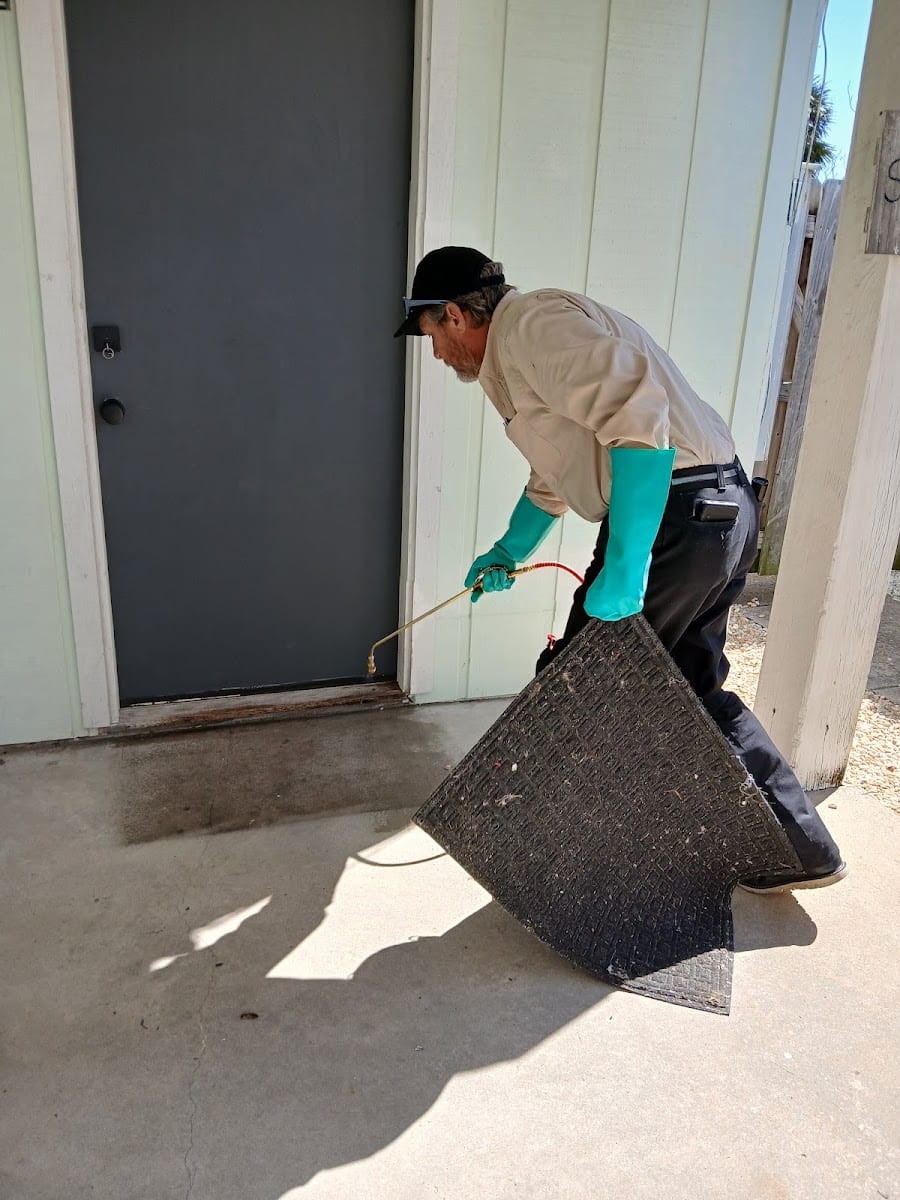 Zaps Pest Control, photo 3