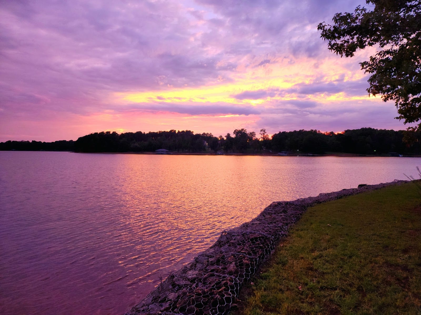 Springfield Campground, photo 3