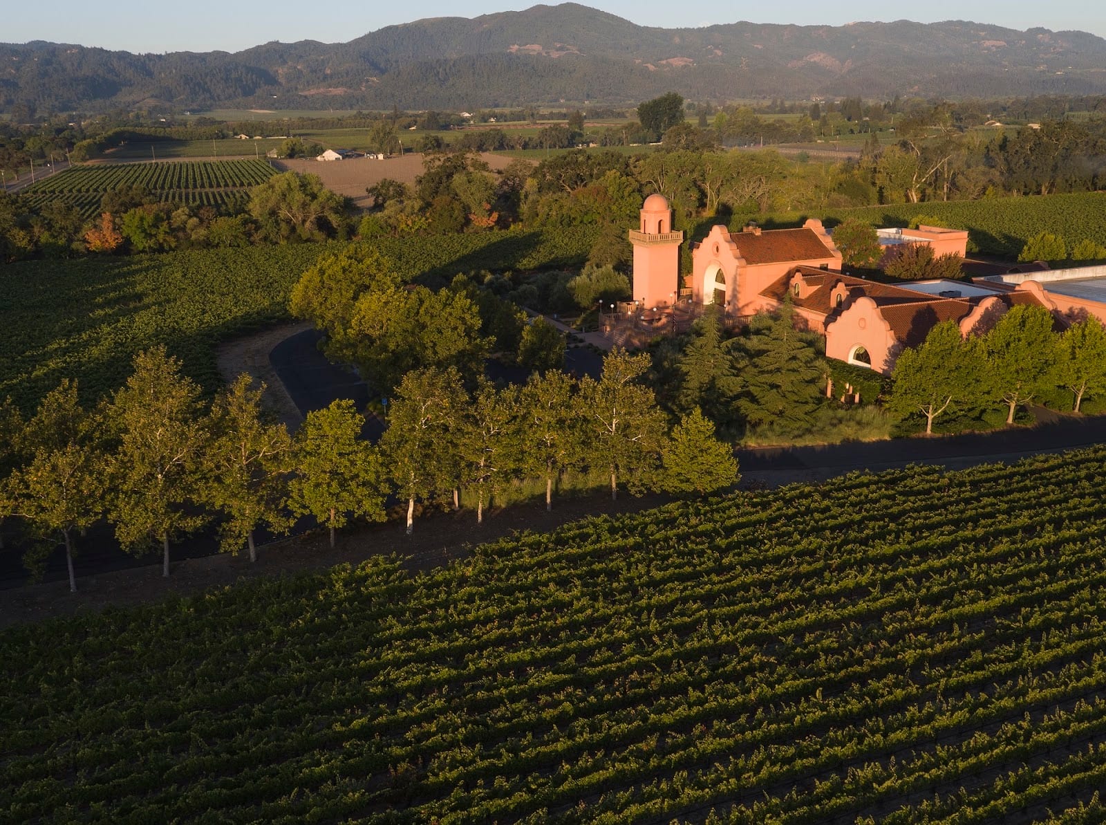 Groth Vineyards & Winery, photo 2