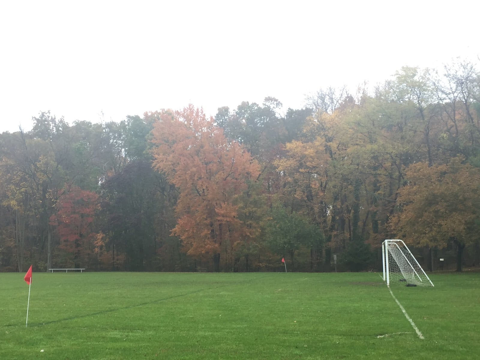 Reid Park