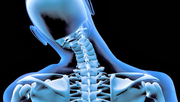 Bluestone Chiropractic, photo 2